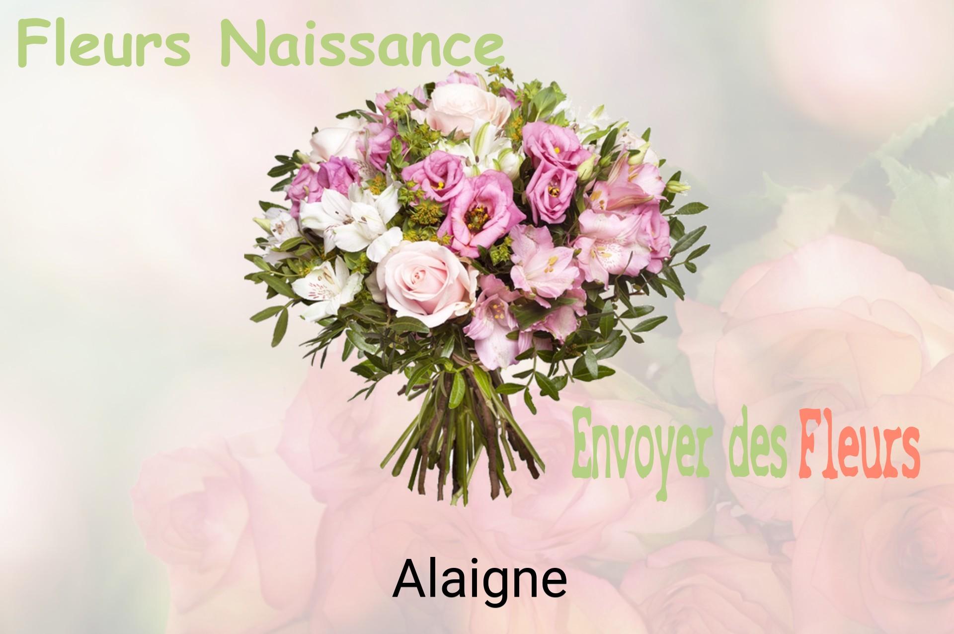 Bouquet de fleurs de naissance livré à Alaigne